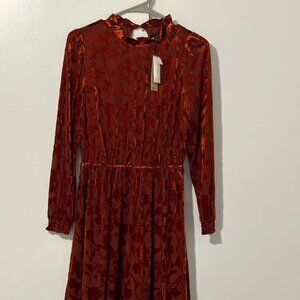 Banana Republic Burnt Orange Velvet Dress